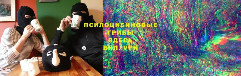 Галлюциногенные грибы Psilocybe  darknet формула  Сатка 